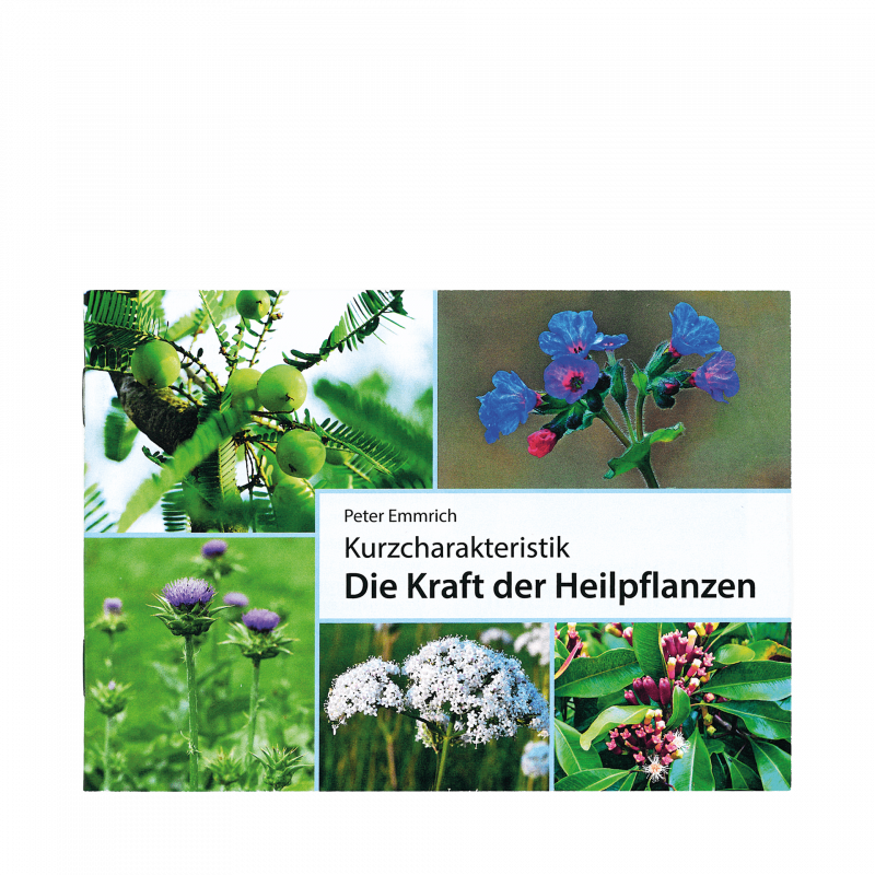 Kurzcharakteristik "Die Kraft der Heilpflanzen" 46 Seiten